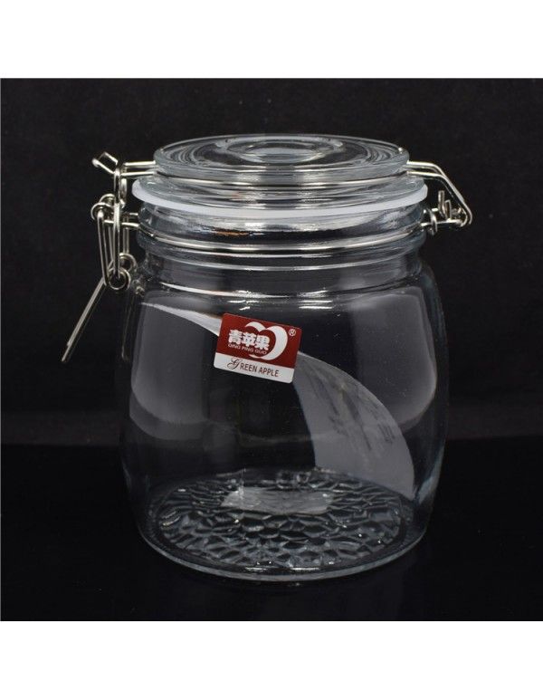 High quality green apple glass sealed storage tank stainless steel wire cover snack storage tank
